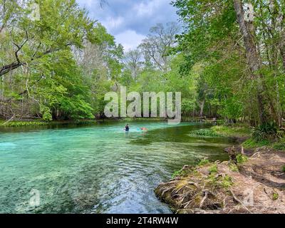 Fort White, Florida USA - 2 marzo 2023: Persone che nuotano nelle limpide acque blu di Gilcrist Blue Springs vicino a Fort White, Florida, in una splendida e soleggiata cittadina Foto Stock