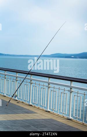 Canna da pesca in piedi sul molo da vicino, pesca. Hobby per giocare d'azzardo Foto Stock