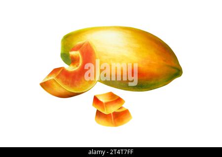 Acquerello composizione dolce matura di papaya. Realistica e gustosa illustrazione organica di frutta tropicale esotica isolata sullo sfondo. Per desi Foto Stock