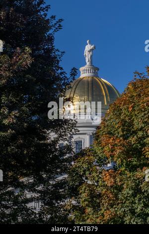 La Vermont State House, situata a Montpelier, è il campidoglio dello stato del Vermont. Foto Stock