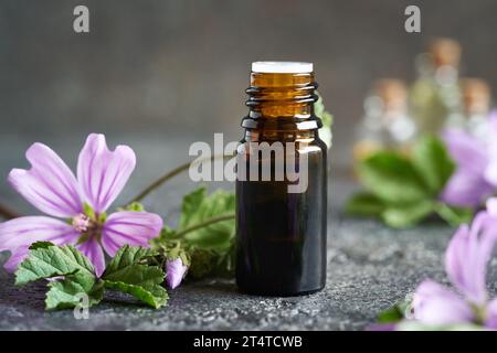 Una bottiglia scura di olio essenziale di malva con fiori di Malva sylvestris Foto Stock