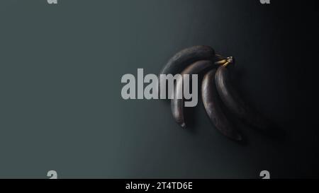 Banane con buccia annerita su sfondo scuro. Monocromatico. Composizione artistica minimale. Esclusivo poster di design moderno. Copia spazio Foto Stock