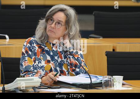 Plenum Thueringer Landtag 01.11.2023, Erfurt, Thueringer Landtag, Plenarsaal, 119. Plenarsitzung im Bild: Ministerin für Arbeit, Soziales, Gesundheit, Frauen und Familie Heike Werner Die LINKE *** Plenum Turingian State Parliament 01 11 2023, Erfurt, Turingian State Parliament, Plenaria, 119 Plenaria in the picture Minister of Labor, Social Affairs, Health, Women and Family Heike Werner Die LINKE credito: Imago/Alamy Live News Foto Stock