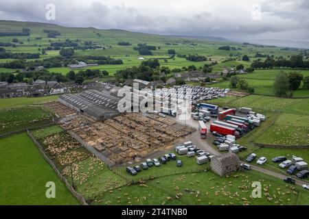 Veduta aerea della vendita di agnello da mulo del nord dell'Inghilterra presso Hawes Auction mart, North Yorkshire, Regno Unito. Foto Stock