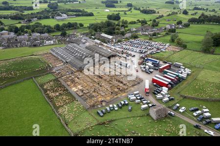 Veduta aerea della vendita di agnello da mulo del nord dell'Inghilterra presso Hawes Auction mart, North Yorkshire, Regno Unito. Foto Stock