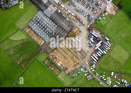 Veduta aerea della vendita di agnello da mulo del nord dell'Inghilterra presso Hawes Auction mart, North Yorkshire, Regno Unito. Foto Stock