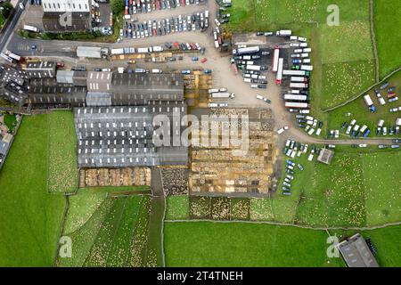 Veduta aerea della vendita di agnello da mulo del nord dell'Inghilterra presso Hawes Auction mart, North Yorkshire, Regno Unito. Foto Stock