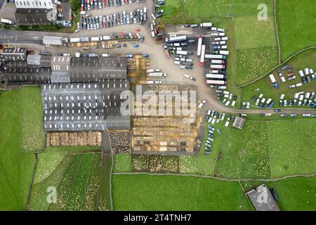 Veduta aerea della vendita di agnello da mulo del nord dell'Inghilterra presso Hawes Auction mart, North Yorkshire, Regno Unito. Foto Stock