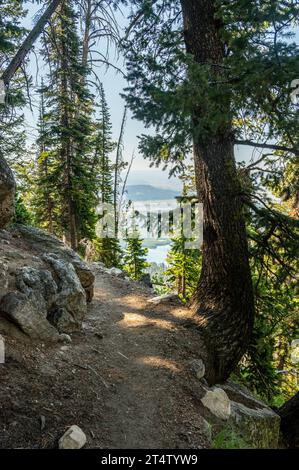 Il sentiero si snoda intorno all'angolo tra scogliere e alberi nel Grand Teton National Park Foto Stock