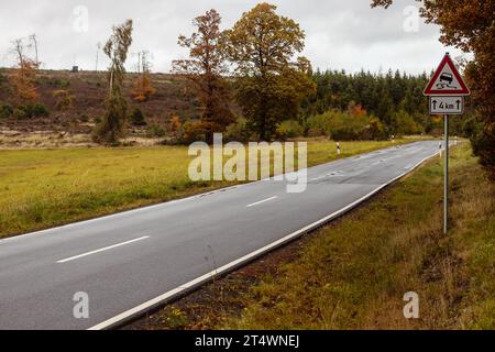 Paesaggio autunnale panoramico lungo una strada tortuosa, la bassa catena montuosa Eifel nella Germania occidentale, in Europa. Foto Stock