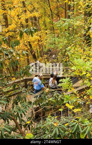 Le tortuose e tortuose scale del sentiero di ritorno delle cascate di Amicalola avvolti dai bellissimi colori del fogliame autunnale delle Blue Ridge Mountains della Georgia del Nord. (USA) Foto Stock