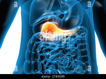 Anatomia del pancreas umano. illustrazione 3d. Foto Stock