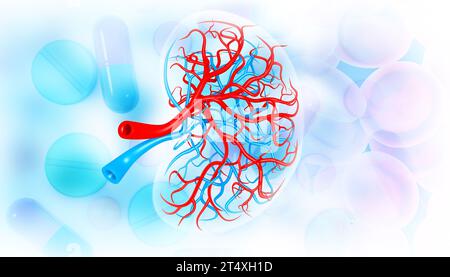 Anatomia interna del rene su sfondo medico. illustrazione 3d. Foto Stock