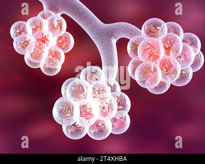 Alveoli dei polmoni umani. illustrazione 3d. Foto Stock