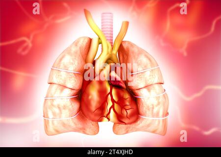 Polmoni e cuore umani su sfondo medico astratto. illustrazione 3d. Foto Stock