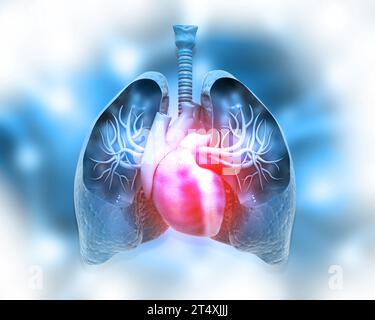 Polmoni e cuore umani su sfondo medico astratto. illustrazione 3d. Foto Stock