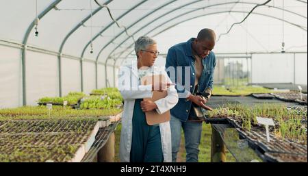 Uomo, donna e cammina in serra per l'agricoltura, il giardinaggio, la crescita del terreno o il commercio di compost. Contadino, parlante e sporcizia vegetale per ispezione Foto Stock