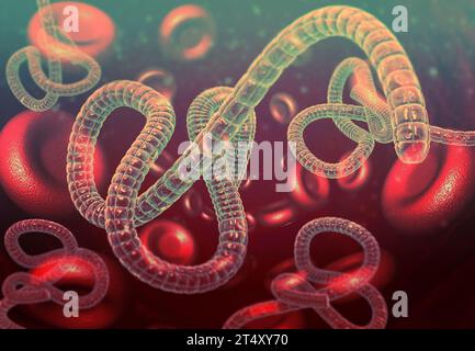 Virus Ebola nel sangue. illustrazione 3d. Foto Stock