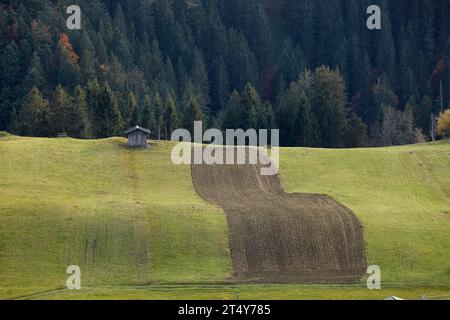 Campo a St. Lorenzen, Lesachtal, Carinzia, Austria Foto Stock