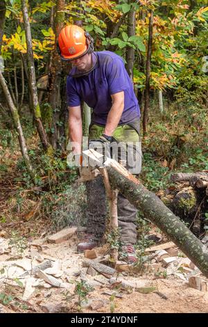 Uomo che utilizza una motosega elettrica per fare punti su pali di recinzione in legno nel bosco, Regno Unito Foto Stock