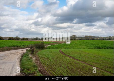 Piegare la campagna attraverso i campi agricoli intorno a Lennik, Brabante fiammingo, Belgio credito: Imago/Alamy Live News Foto Stock