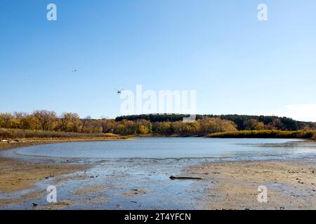 Paesaggio balneare autunnale in Iowa con gabbiani Foto Stock