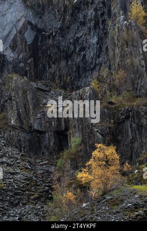 Ballachulish Slate Quarry in autunno, Highlands, Scozia Foto Stock
