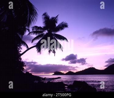 Seychelles. Mahé. Costa tropicale con silhouette di palme da cocco al crepuscolo. Foto Stock