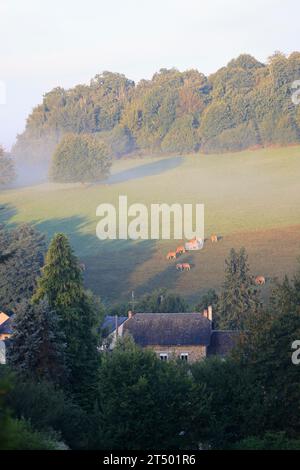 Alba e nebbia nella campagna del Limousin. Ruralità, paesaggio, agricoltura e turismo. Limousin, Francia, Europa. Foto Stock