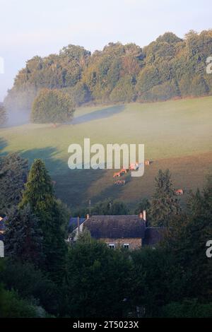 Alba e nebbia nella campagna del Limousin. Ruralità, paesaggio, agricoltura e turismo. Limousin, Francia, Europa. Foto Stock