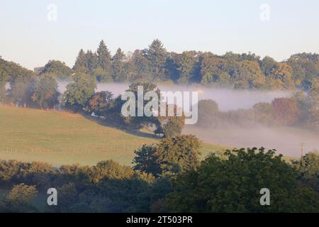 Alba e nebbia nella campagna del Limousin. Ruralità, paesaggio, agricoltura e turismo. Limousin, Francia, Europa. Foto Stock