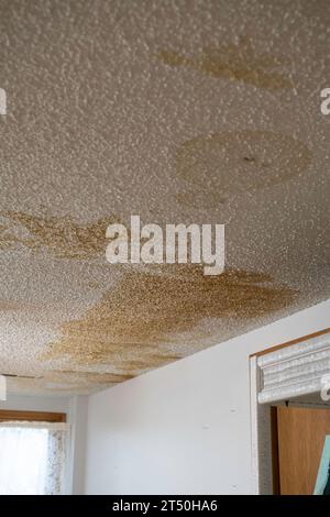 Macchie d'acqua nella zona giorno del seminterrato su un soffitto interno della casa con finitura popcorn dopo una grave perdita d'acqua nel piano superiore. USA. Foto Stock