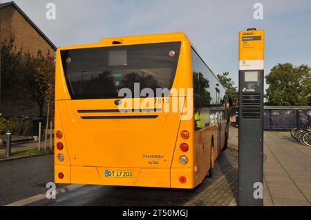 Copenhagen, Danimarca /02 novembre 2023/. Sistema danese di servizio di trasporto pubblico mediante autobus nella capitale danese. autobus linea 31. Foto.Francis Joseph Dean/Dean Pictures credito: Imago/Alamy Live News Foto Stock