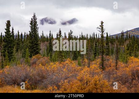 Viste panoramiche autunnali con prati e montagne lungo l'Alaska Highway nello Yukon, Canada. Foto Stock