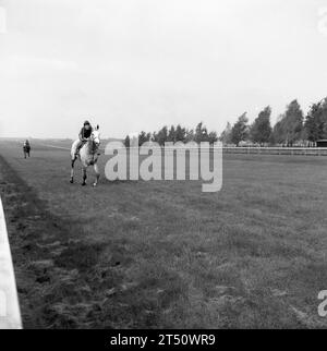 Anni '1950, storico, partecipando al Cheveley Park Stakes, un cavallo e un cavaliere che lottano sul rettilineo della zappa, sul Rowley Mile, uno dei due ippodromi di Newmarket, Inghilterra, Regno Unito. La gara risale al 1899 e il colonnello Harry McCalmont, un appassionato proprietario di cavalli da corsa, che aveva acquistato la tenuta di Cheveley Park e la fattoria di stalloni. Foto Stock