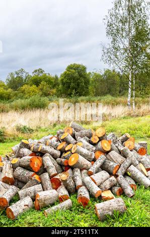 Legno segato all'aperto in estate. Preparare la legna da ardere per l'inverno. Pila di legna da ardere sull'erba Foto Stock