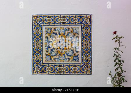 Ramificazione di una pianta di rose su sfondo bianco accanto al motivo decorativo delle piastrelle Foto Stock