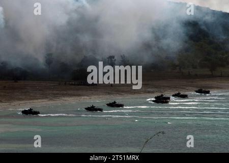 1002047843A-135 HAT YAO, Thailandia (4 febbraio 2010) i veicoli anfibi d'assalto della Repubblica di Corea e del Royal Thai Marine Corps sbarcano durante una dimostrazione di atterraggio anfibio Cobra Gold 2010 a Hat Yao Beach durante. Cobra Gold è un esercizio multinazionale congiunto e di coalizione ospitato annualmente dal Regno di Thailandia. (US Navy Foto Stock