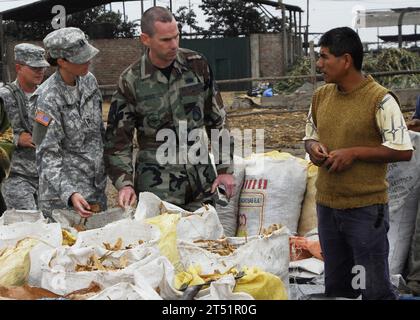 0806114007G-113 HUACHO, Perù (11 giugno 2008) il capitano dell'esercito Karin Potirus, un veterinario imbarcato a bordo della nave d'assalto anfibio USS Boxer (LHD 4), esamina gli steli di mais da utilizzare come cibo animale in un caseificio durante la fase pacifica della promessa continua 2008. Boxer è schierato a sostegno della fase pacifica di Continuing Promise, una missione di partenariato paritario tra Stati Uniti, Guatemala, El Salvador e Perù. Marina degli Stati Uniti Foto Stock