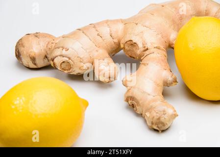 Zenzero e limone su sfondo bianco. Ingredienti per preparare il tè di stagione con vitamina C per prevenire raffreddori e virus Foto Stock