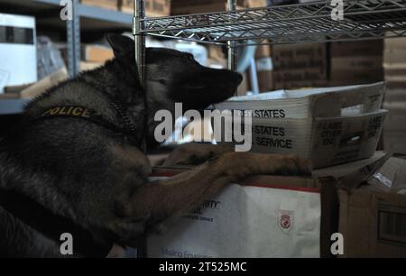 110913EL833-728 CAMP LEMONNIER, Gibuti (13 settembre 2011) Karo, un cane da lavoro militare pastore tedesco di 4 anni, cerca contrabbando durante un esercizio di addestramento all'individuazione presso l'ufficio postale di Camp Lemonnier. (U.S. Air Force Foto Stock