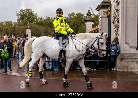 Un agente di polizia a cavallo fuori Buckingham Palace, Londra, Regno Unito Foto Stock