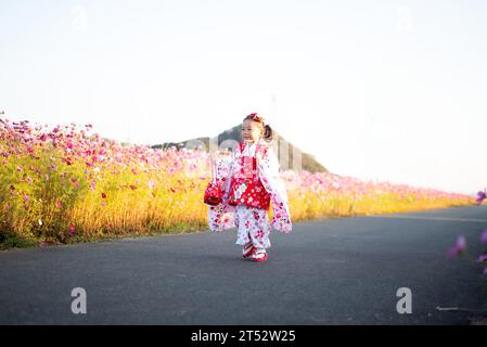 Una bambina che indossa un kimono giapponese che cammina felicemente in un campo di fiori cosmici. Foto Stock