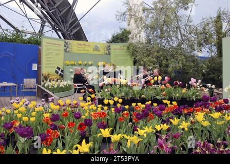 Cerimonia, Eden Project, Joint Maritime Facility, Mediterranean Biome, Naval Forces Europe Band, Royal Air Force, Royal Navy Foto Stock
