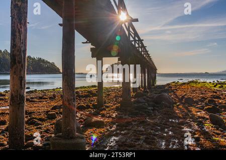 Molo la mattina presto d'estate a Mayne Island, British Columbia, Canada. Il molo attraversa la spiaggia rocciosa fino all'oceano. Foto Stock