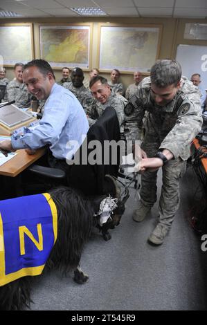 Comandante, generale David H. Petraeus, capra, riunione mattutina, NATO International Security Assistance Force, marina, sport della marina, forze degli Stati Uniti Afghanistan, Marina degli Stati Uniti Foto Stock