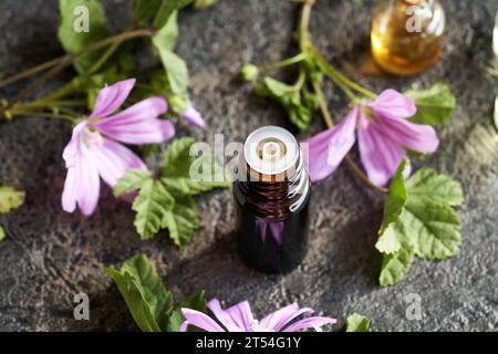 Olio essenziale Mallow in una bottiglia contagocce Foto Stock