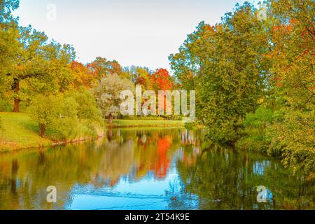 Colorato parco autunnale in una giornata di sole. Splendido paesaggio autunnale con alberi gialli e rossi. Foglie cadenti. Sfondo naturale autunnale. Foto Stock