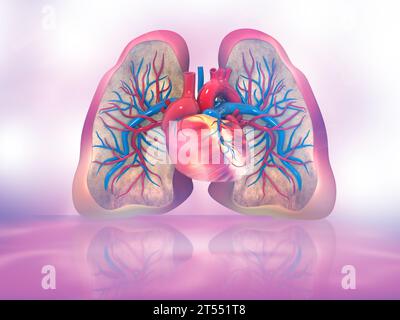 Polmoni e cuore umani su sfondo medico astratto. illustrazione 3d. Foto Stock