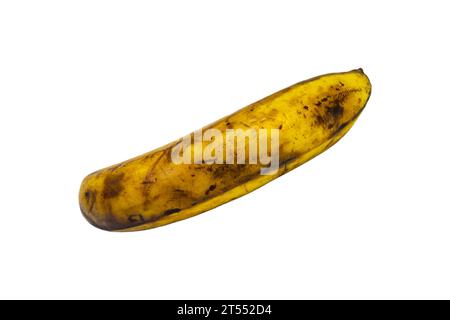 Banana marcio isolato su sfondo bianco, Clipping path Foto Stock